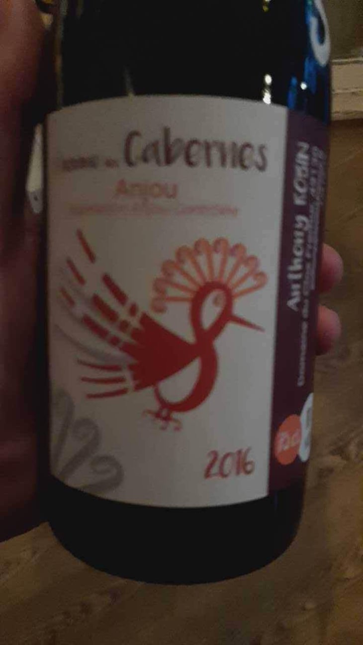 L'Homme Des Cabernes - Domaine du Clos Fremur - Anthony Robin 