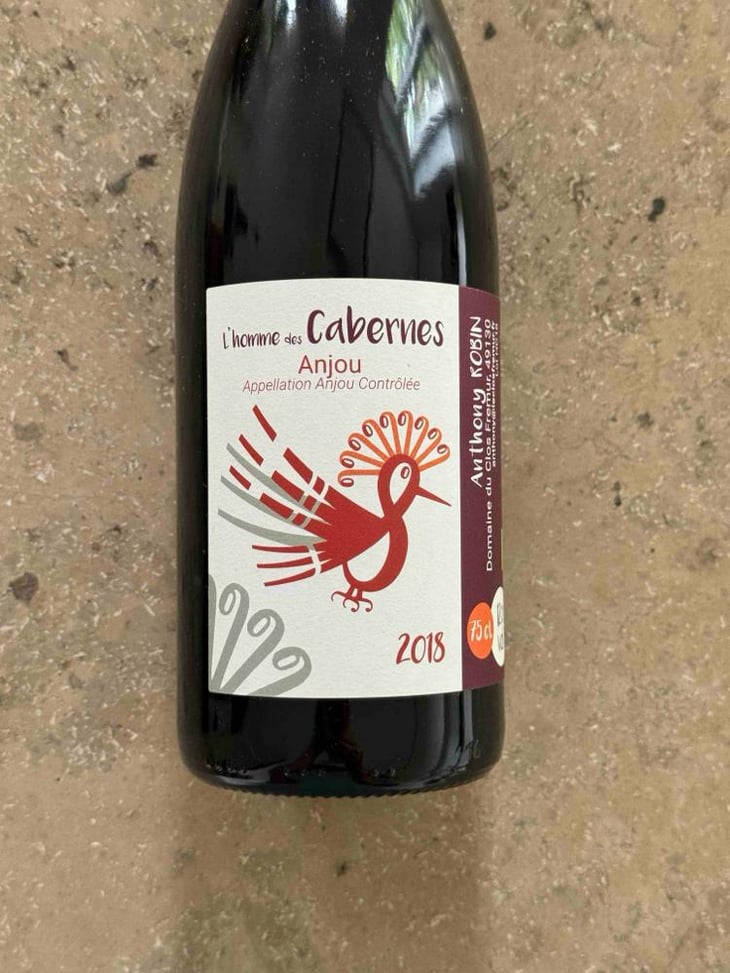 L'Homme Des Cabernes - Domaine du Clos Fremur - Anthony Robin 