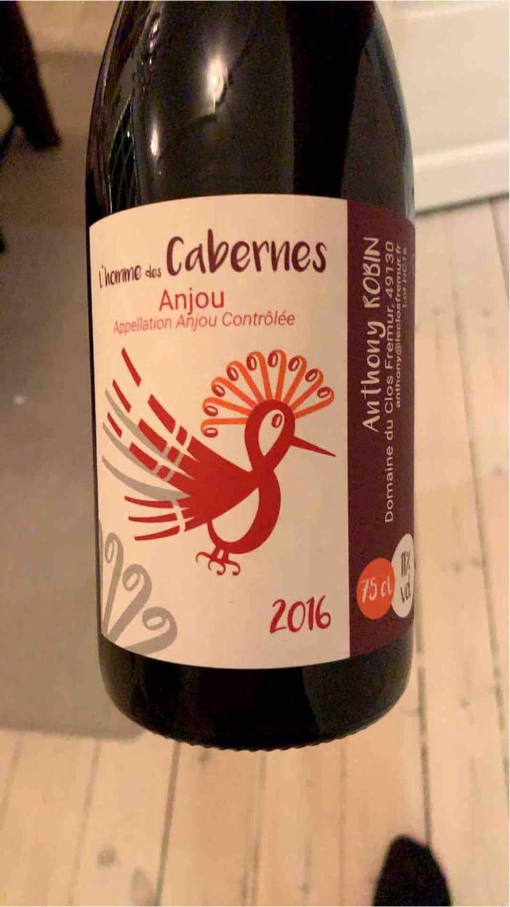 L'Homme Des Cabernes - Domaine du Clos Fremur - Anthony Robin 