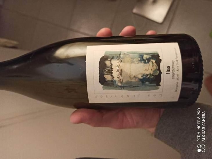 Les Juvéniles - Lias Chardonnay - Domaine Labet - Julien, Charline & Romain Labet 