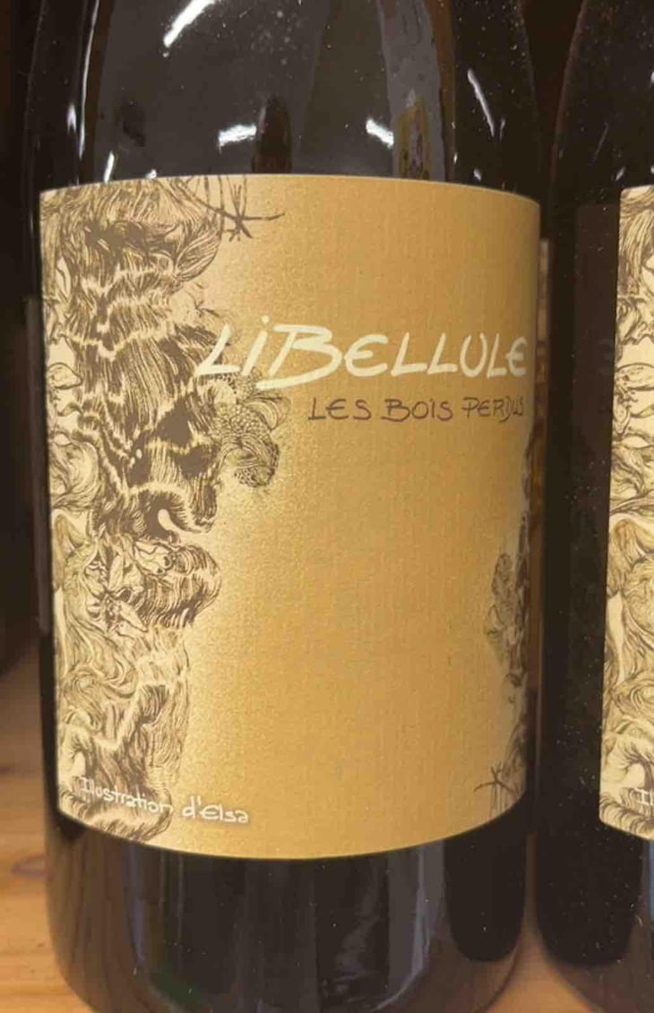 Libellule - Les Bois Perdus - Léna Perdu & Alexis Robin -2021