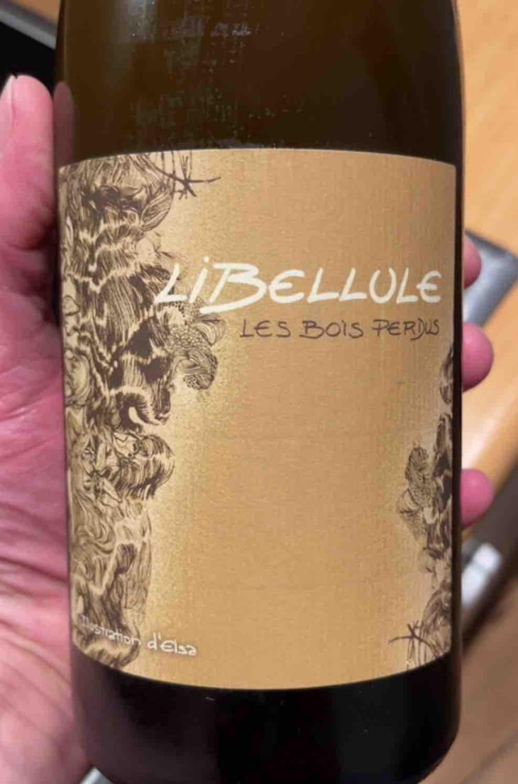Libellule - Les Bois Perdus - Léna Perdu & Alexis Robin -2021