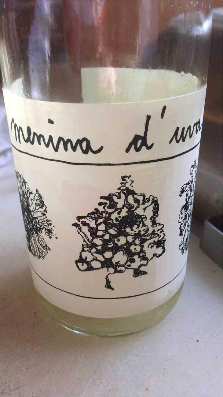 Líquen - Menina D'Uva - Aline Domingues 