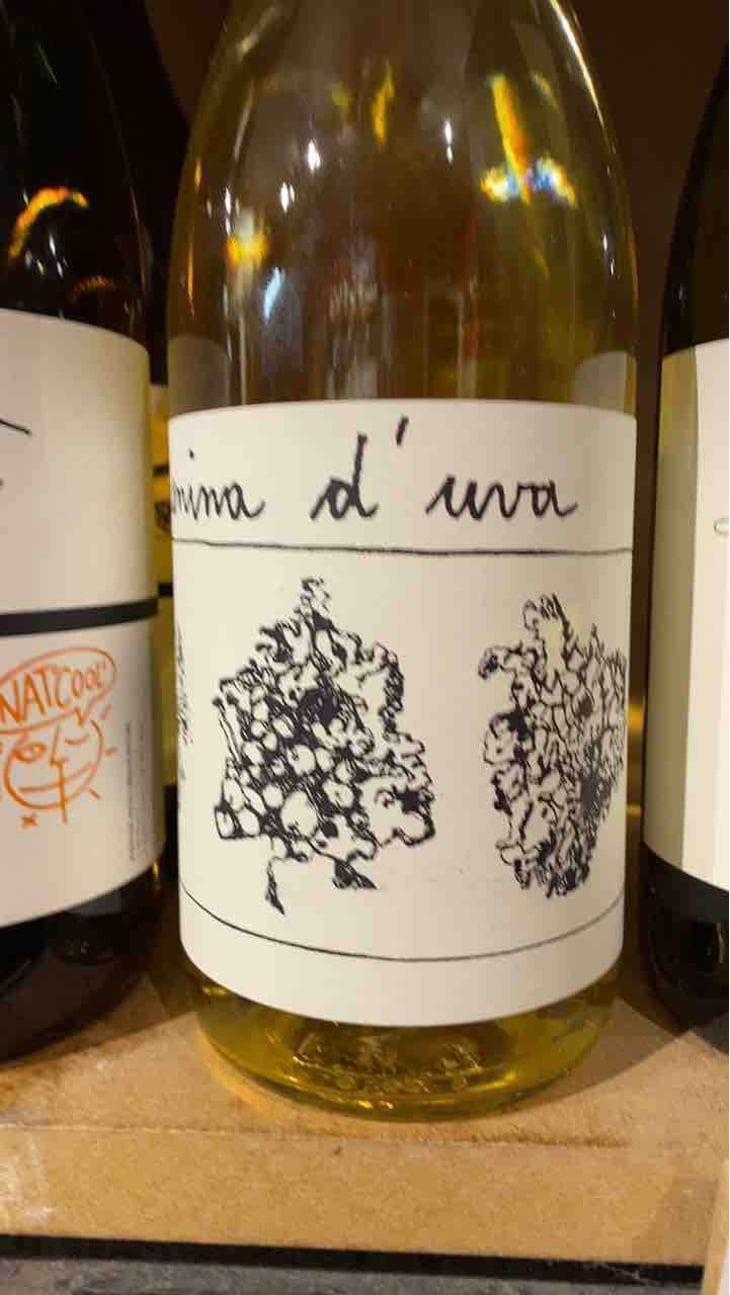 Líquen - Menina D'Uva - Aline Domingues 
