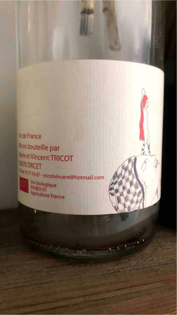 Lieu-dit Bonichons - Marie et Vincent Tricot - Vincent et Marie Tricot 