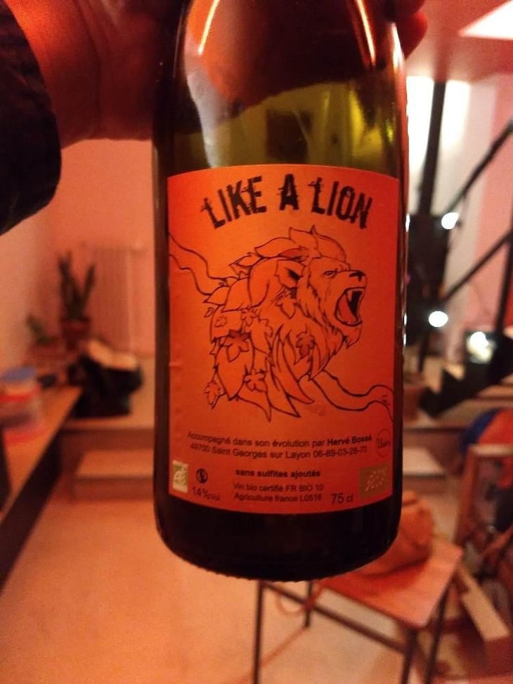 Like a Lion - La Grange de Noue Méa - Marie Percevault & Hervé Bossé 