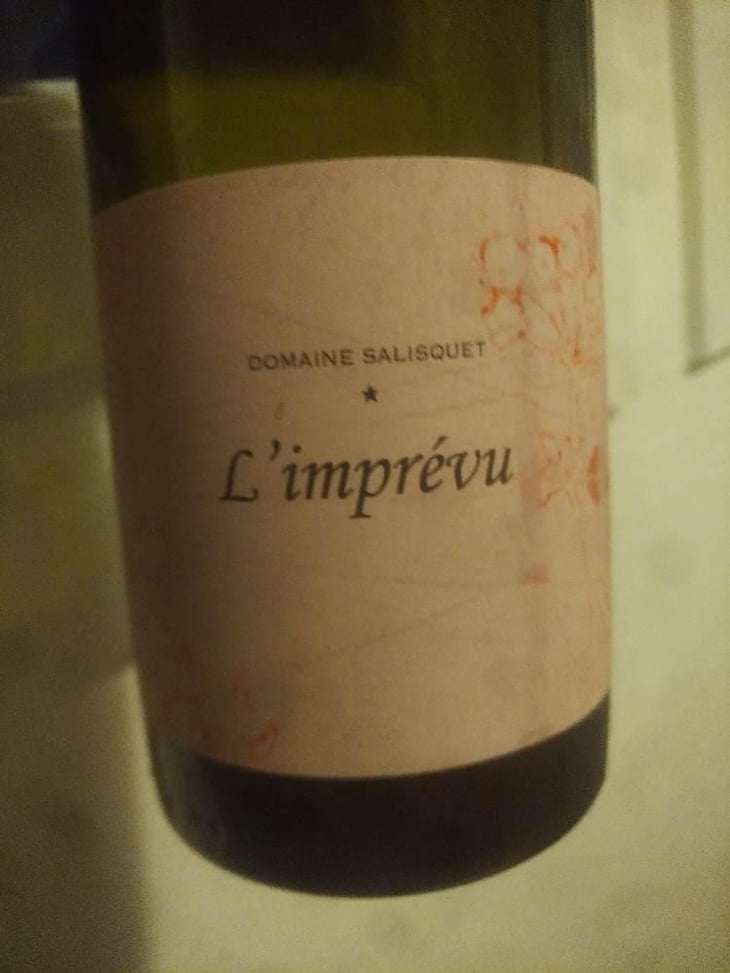 L'imprévu - Salisquet - Famille Chassenard 