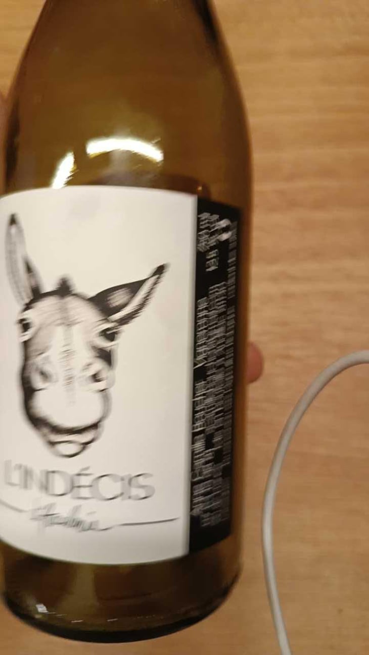 L'indécis - Domaine de l'Accalmie - Anne-Camille Boucher -2022