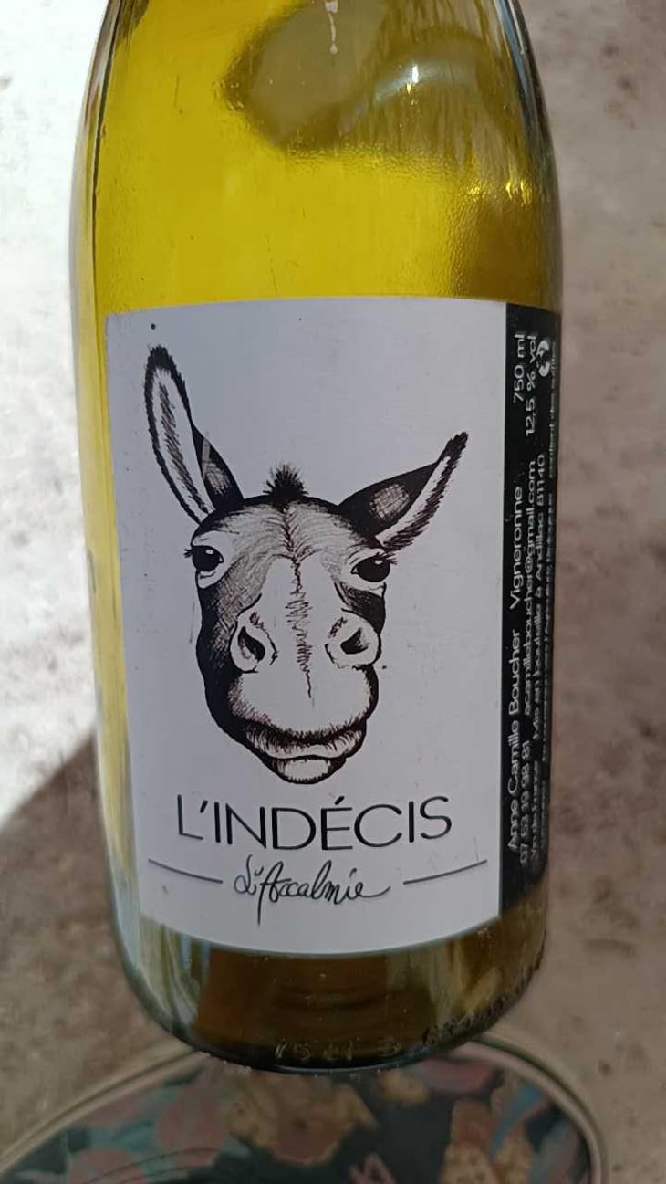 L'indécis - Domaine de l'Accalmie - Anne-Camille Boucher -2022