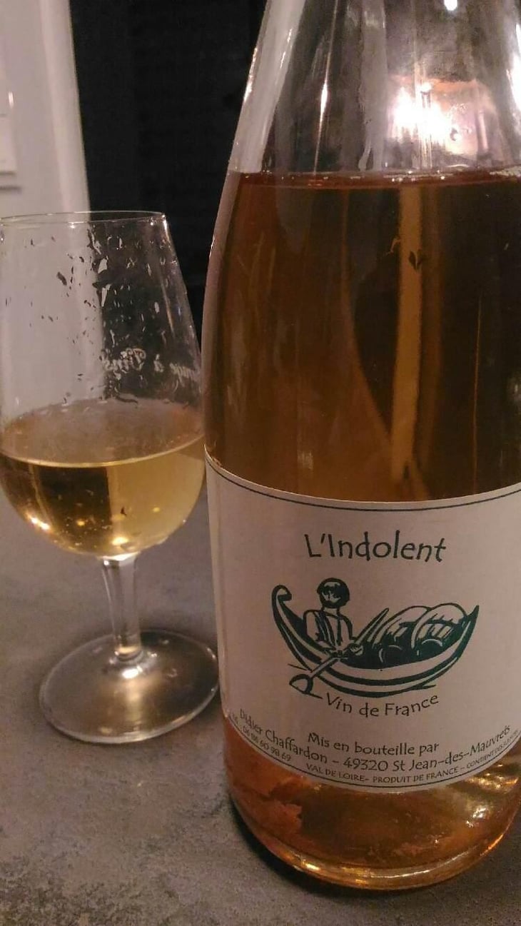 L'indolent - Didier Chaffardon - Didier Chaffardon 