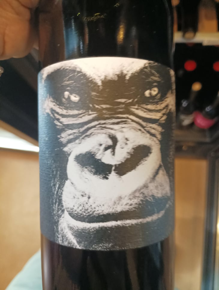 L'Indomptable - Domaine de Mena - Sébastien Agelet 