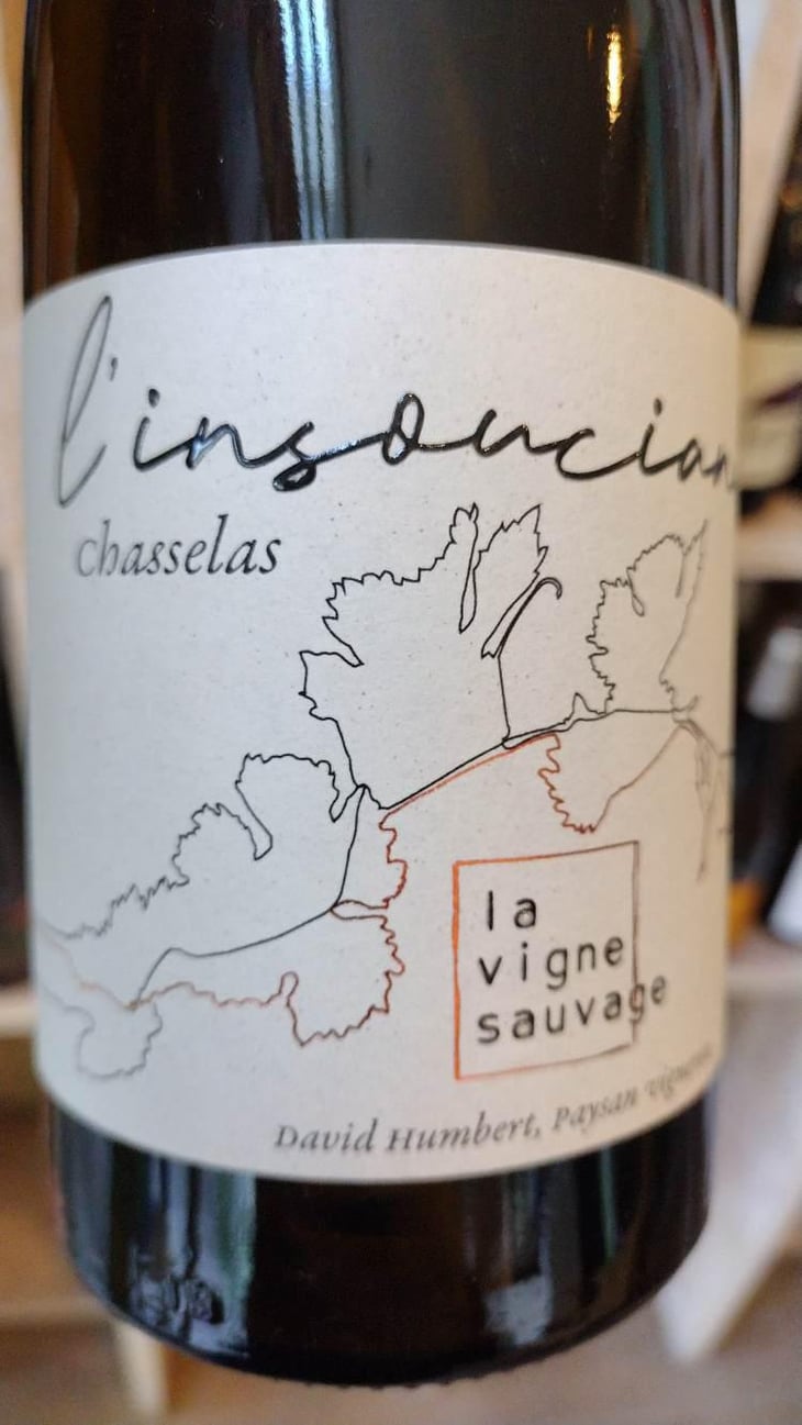 L'Insouciance - La Vigne Sauvage - David Humbert 