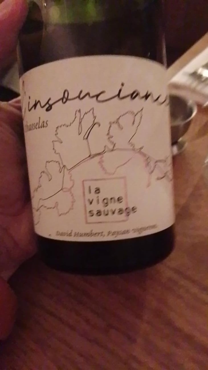 L'Insouciance - La Vigne Sauvage - David Humbert 