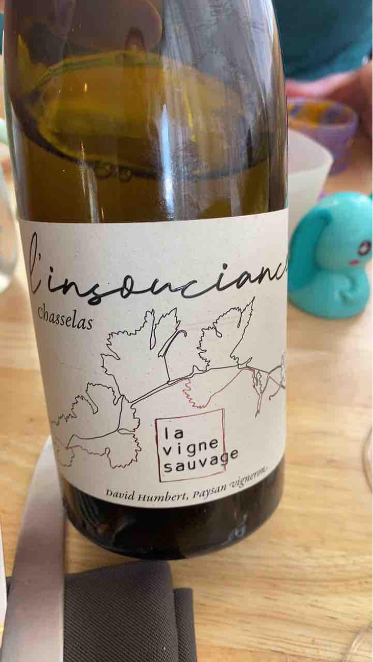 L'Insouciance - La Vigne Sauvage - David Humbert 