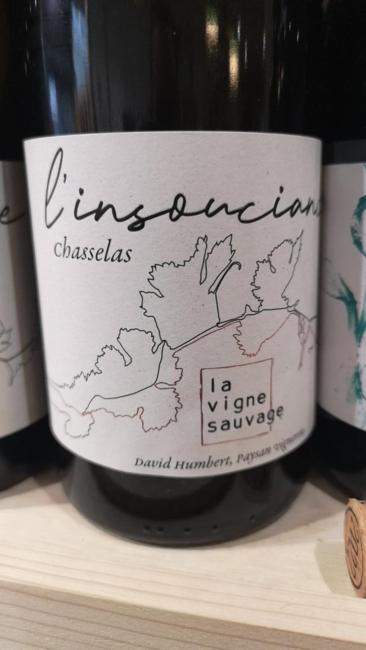 L'Insouciance - La Vigne Sauvage - David Humbert 