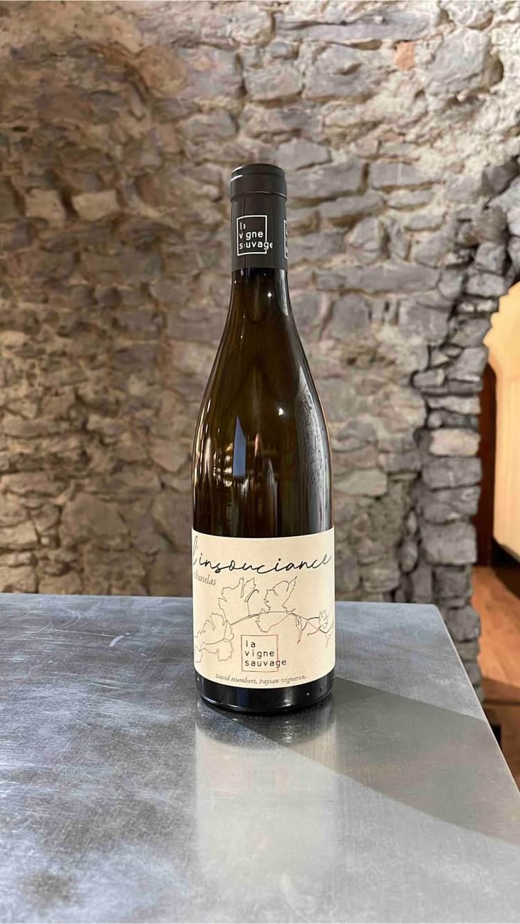 L'Insouciance - La Vigne Sauvage - David Humbert 