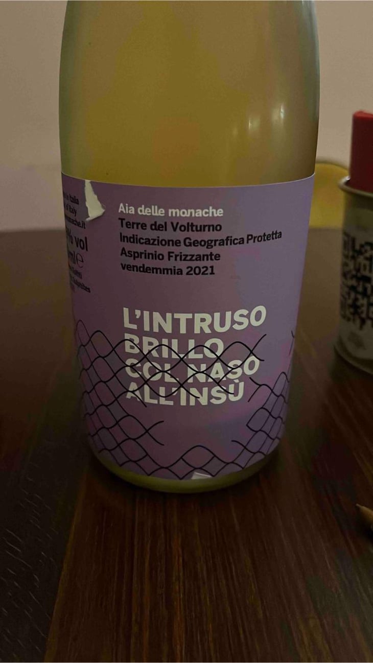 L’intruso Brillo Col Naso All’insu - Aia delle Monache - Vittorio & Michele Verzillo -2019