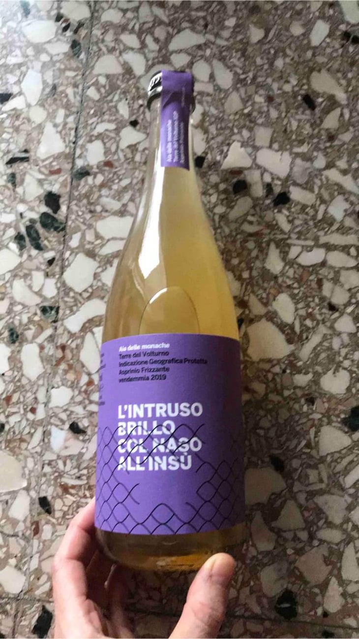 L’intruso Brillo Col Naso All’insu - Aia delle Monache - Vittorio & Michele Verzillo -2019