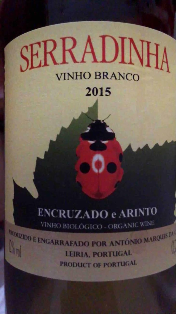 Vinho Regional Lisboa - Quinta da Serradinha - António Marques da Cruz 