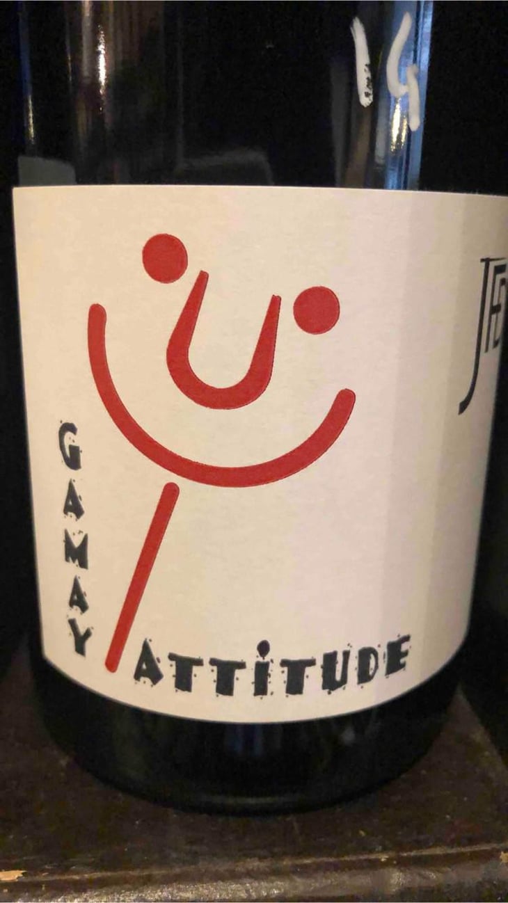 Gamay Attitude - Domaine Jean François Debourg - Jean-François & Ghislaine Debourg 