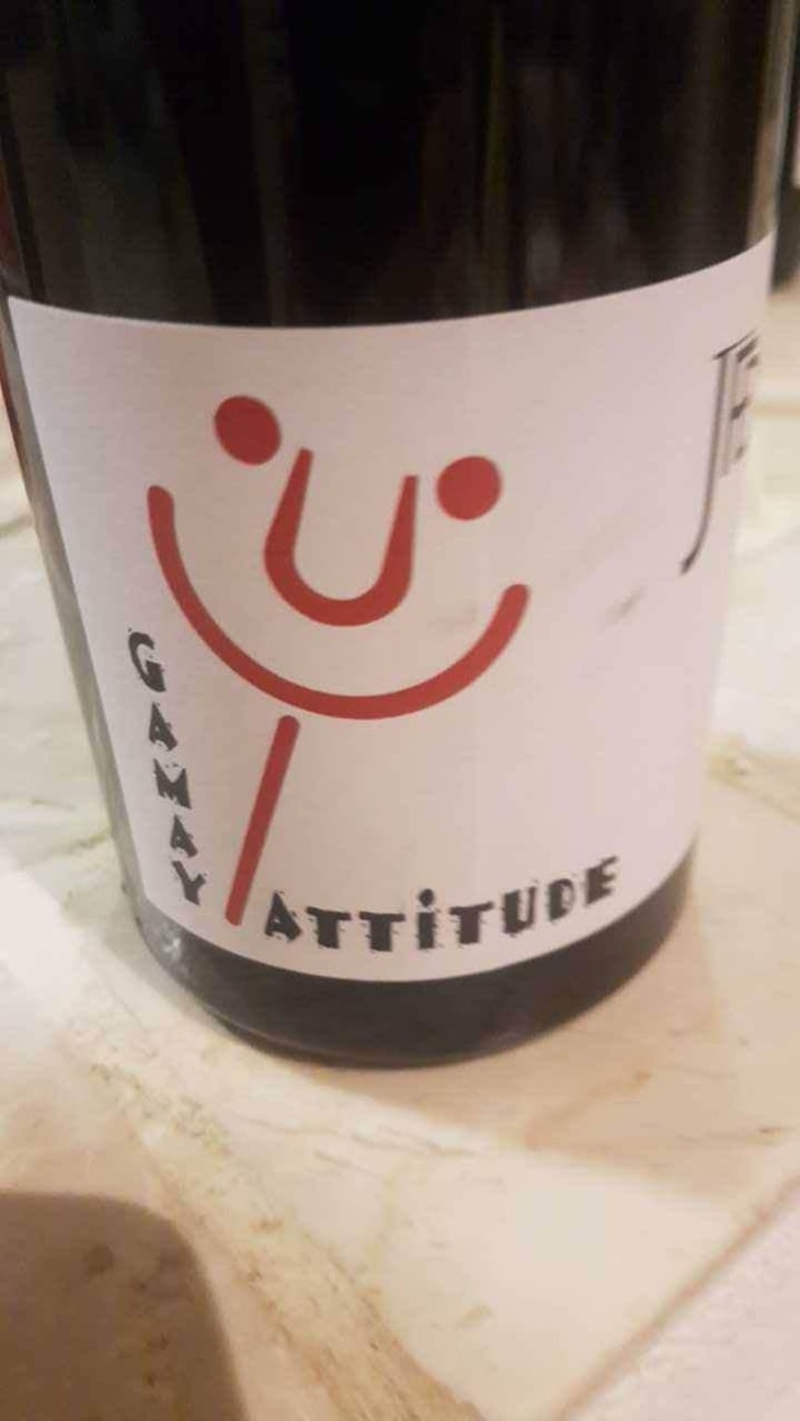 Gamay Attitude - Domaine Jean François Debourg - Jean-François & Ghislaine Debourg 