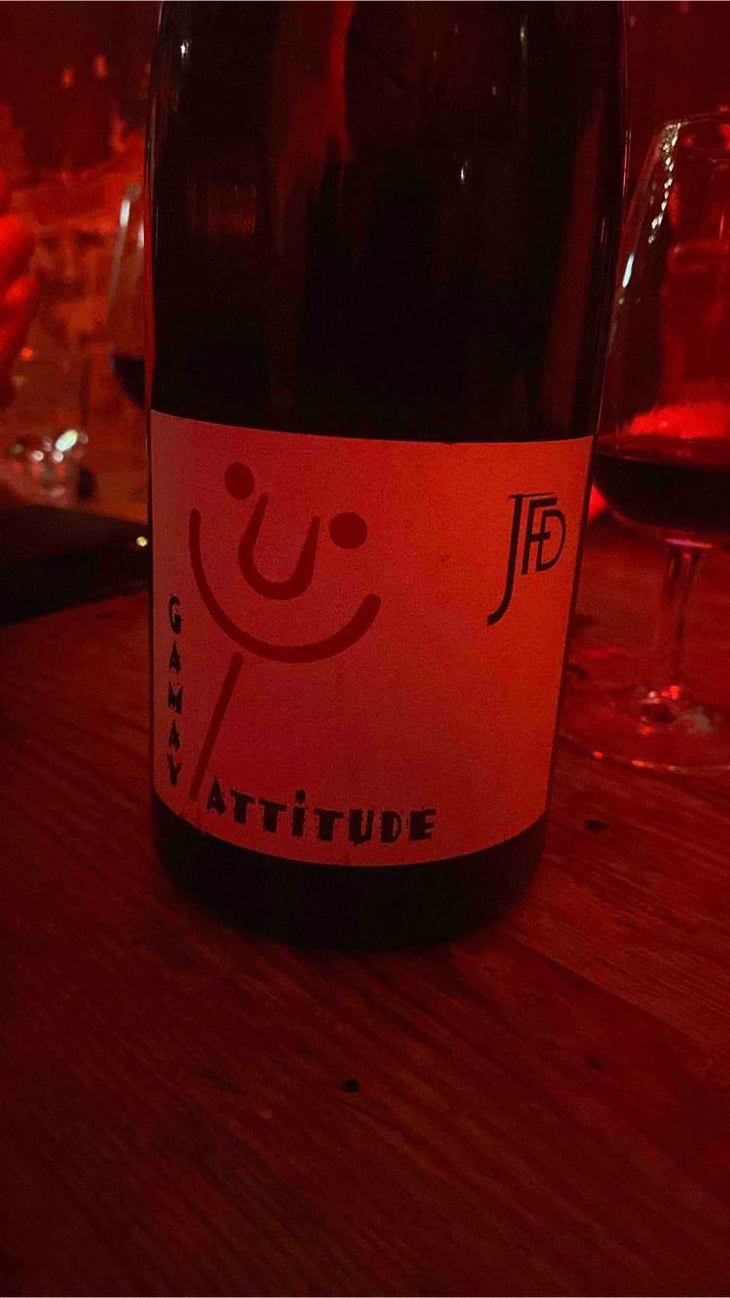 Gamay Attitude - Domaine Jean François Debourg - Jean-François & Ghislaine Debourg 