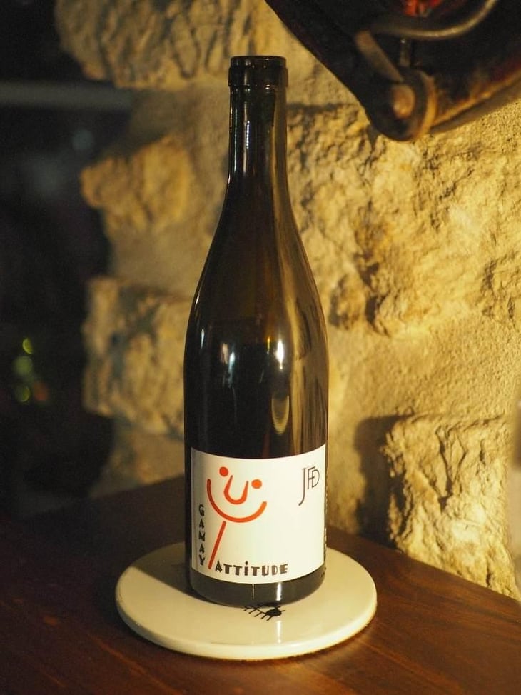 Gamay Attitude - Domaine Jean François Debourg - Jean-François & Ghislaine Debourg 