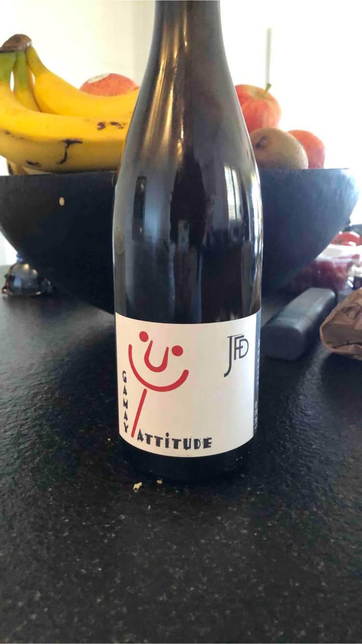 Gamay Attitude - Domaine Jean François Debourg - Jean-François & Ghislaine Debourg 