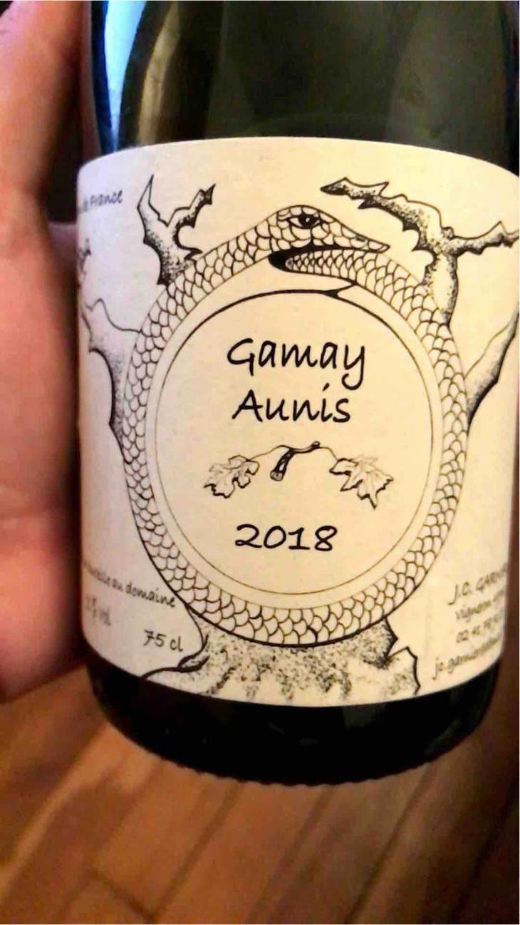 Gamay Aunis - Jean-Christophe Garnier - Jean-Christophe Garnier 