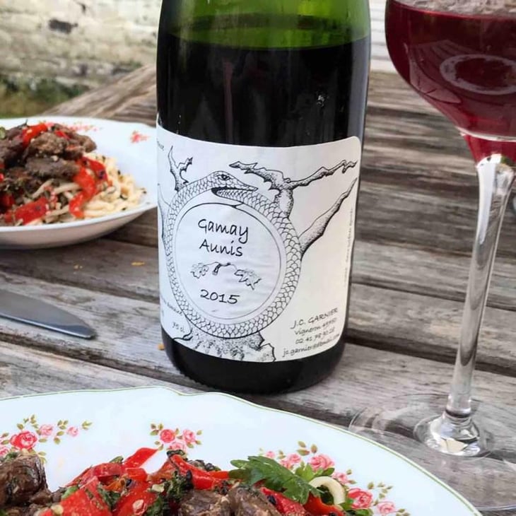 Gamay Aunis - Jean-Christophe Garnier - Jean-Christophe Garnier 