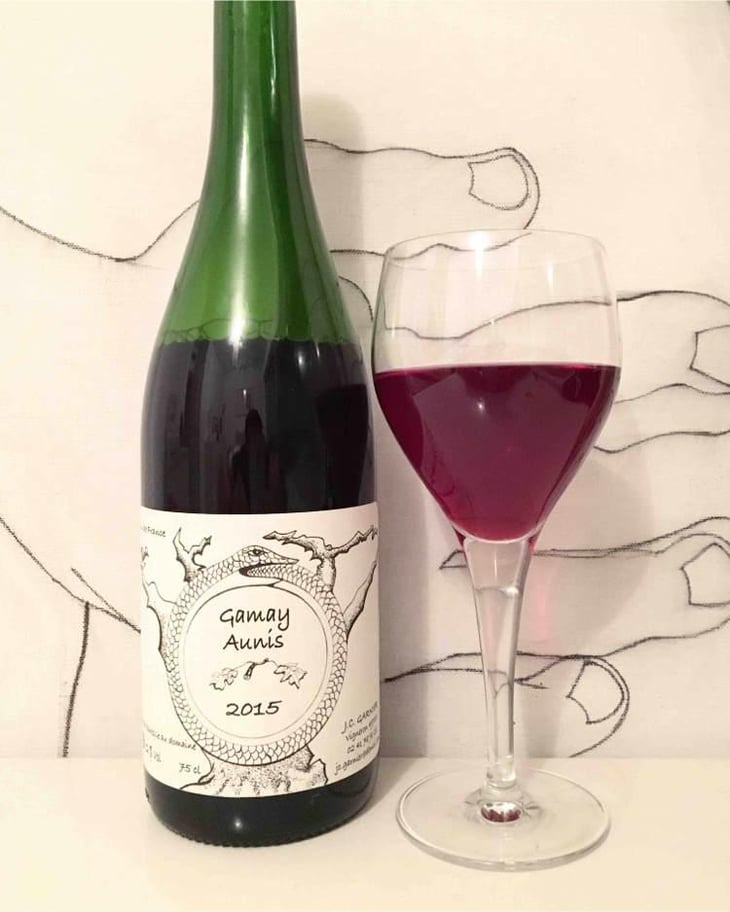 Gamay Aunis - Jean-Christophe Garnier - Jean-Christophe Garnier 