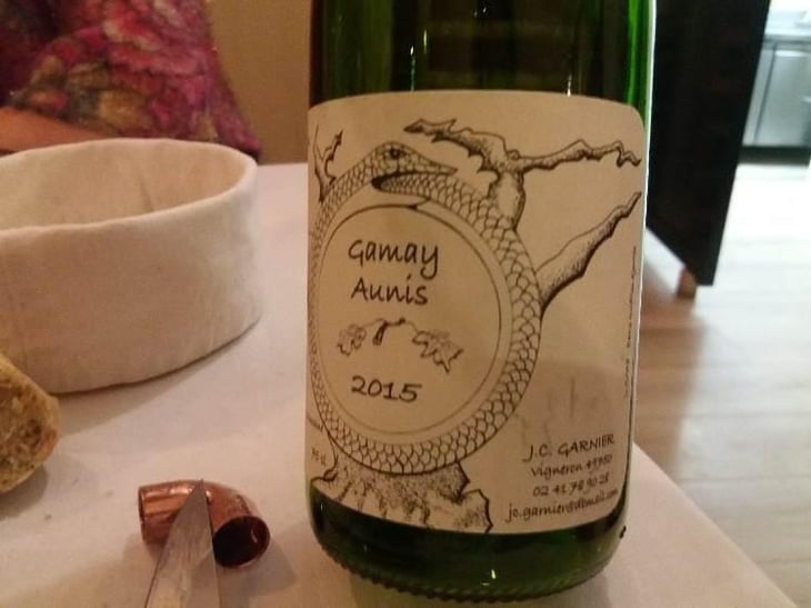 Gamay Aunis - Jean-Christophe Garnier - Jean-Christophe Garnier 