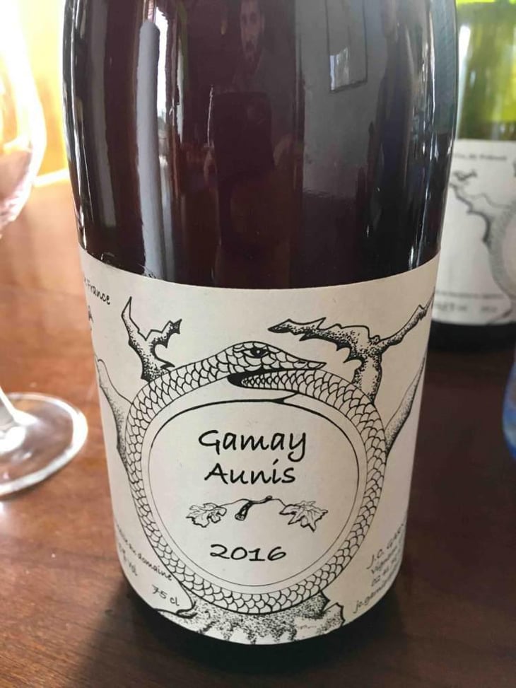 Gamay Aunis - Jean-Christophe Garnier - Jean-Christophe Garnier 