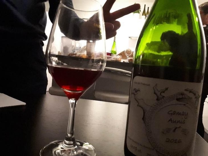 Gamay Aunis - Jean-Christophe Garnier - Jean-Christophe Garnier 