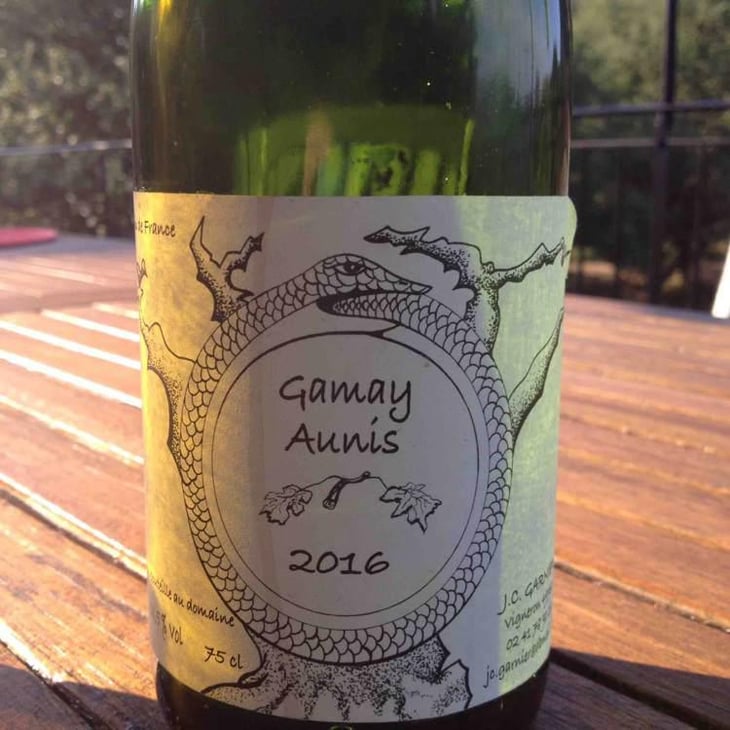Gamay Aunis - Jean-Christophe Garnier - Jean-Christophe Garnier 