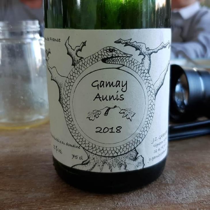 Gamay Aunis - Jean-Christophe Garnier - Jean-Christophe Garnier 