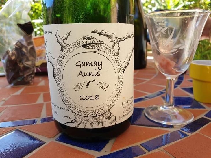 Gamay Aunis - Jean-Christophe Garnier - Jean-Christophe Garnier 