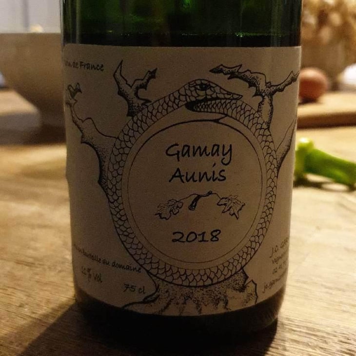 Gamay Aunis - Jean-Christophe Garnier - Jean-Christophe Garnier 