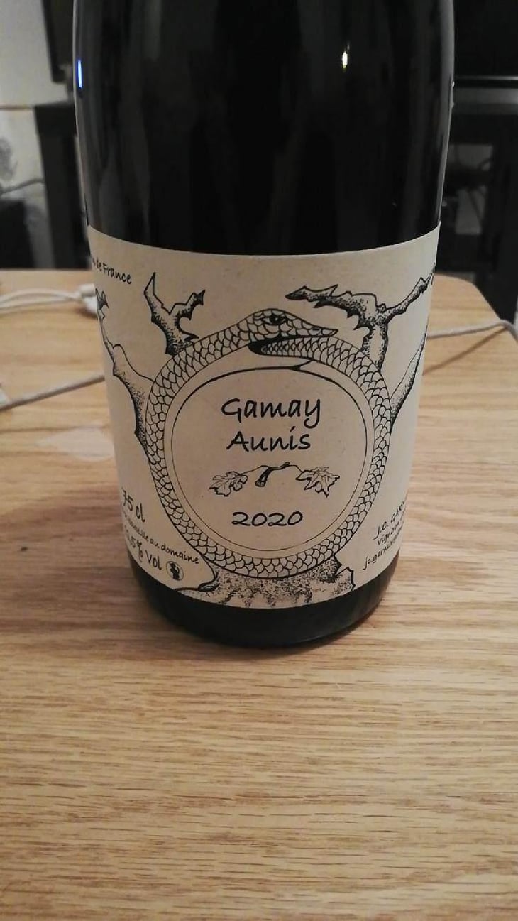 Gamay Aunis - Jean-Christophe Garnier - Jean-Christophe Garnier 