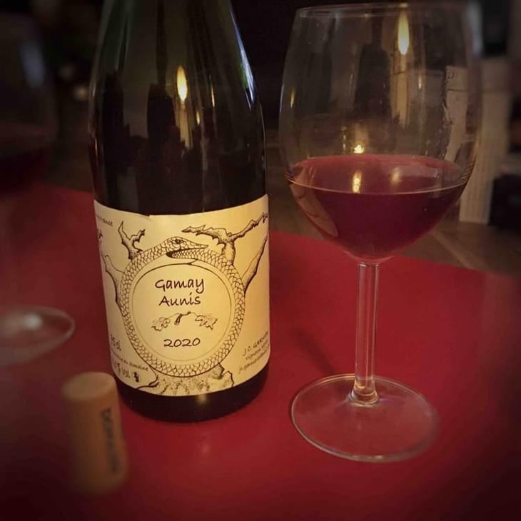 Gamay Aunis - Jean-Christophe Garnier - Jean-Christophe Garnier 