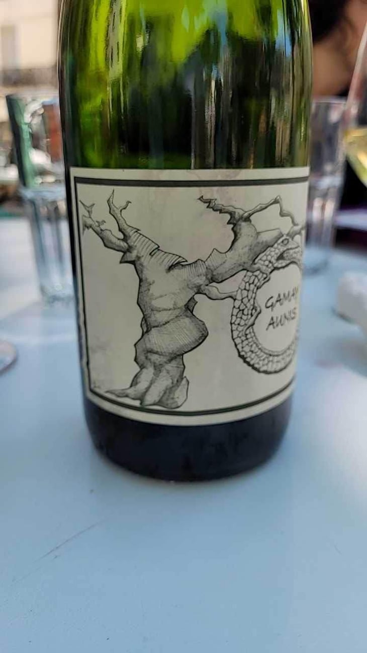 Gamay Aunis - Jean-Christophe Garnier - Jean-Christophe Garnier 