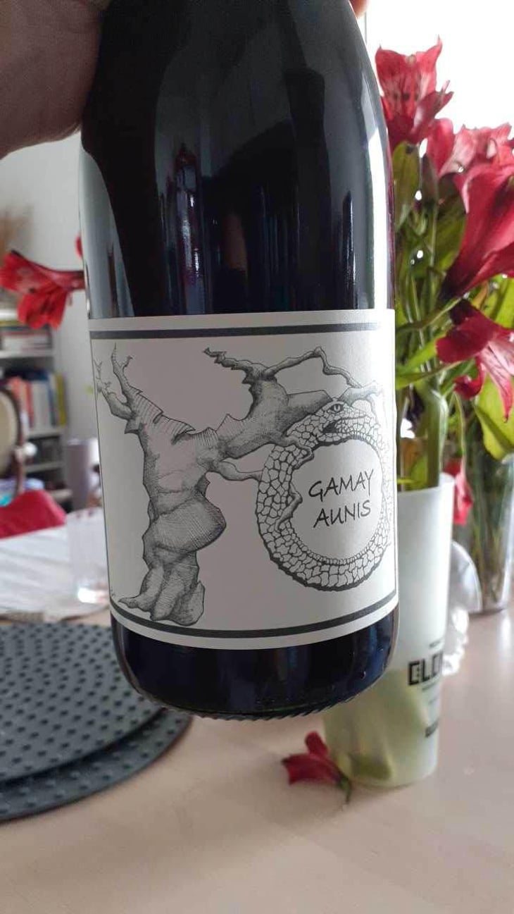 Gamay Aunis - Jean-Christophe Garnier - Jean-Christophe Garnier 