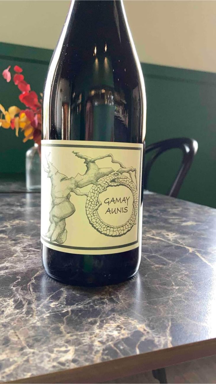 Gamay Aunis - Jean-Christophe Garnier - Jean-Christophe Garnier 