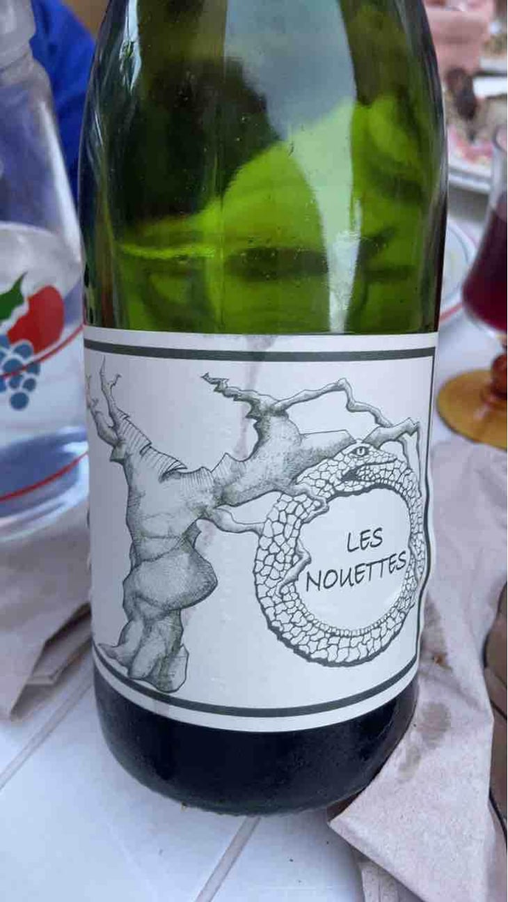 Gamay Aunis - Jean-Christophe Garnier - Jean-Christophe Garnier 
