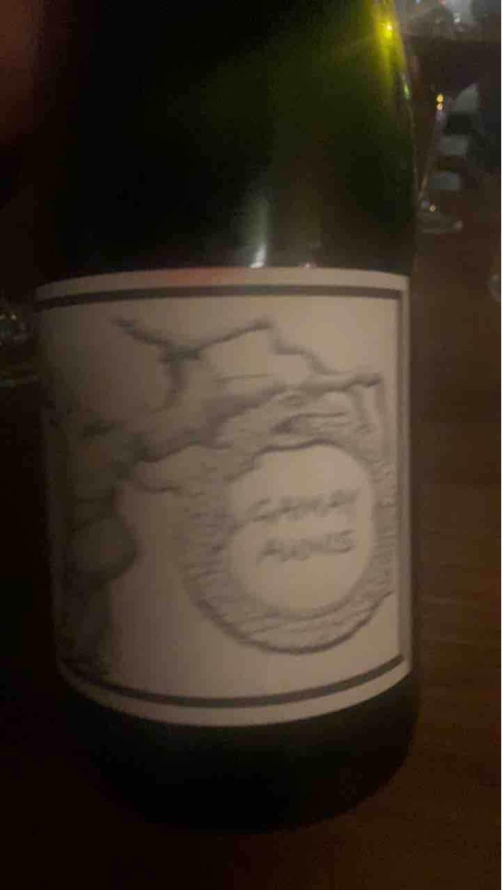 Gamay Aunis - Jean-Christophe Garnier - Jean-Christophe Garnier 