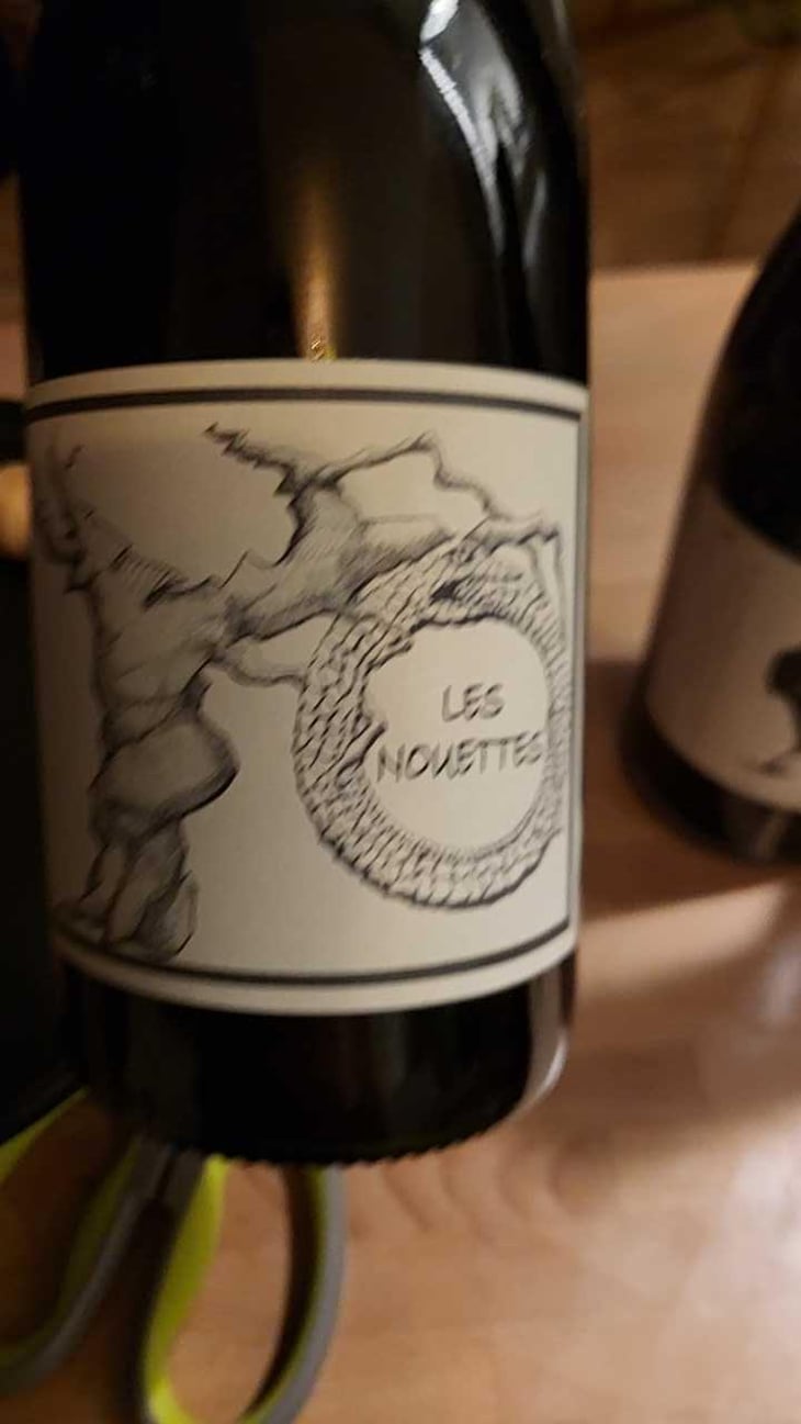 Gamay Aunis - Jean-Christophe Garnier - Jean-Christophe Garnier 
