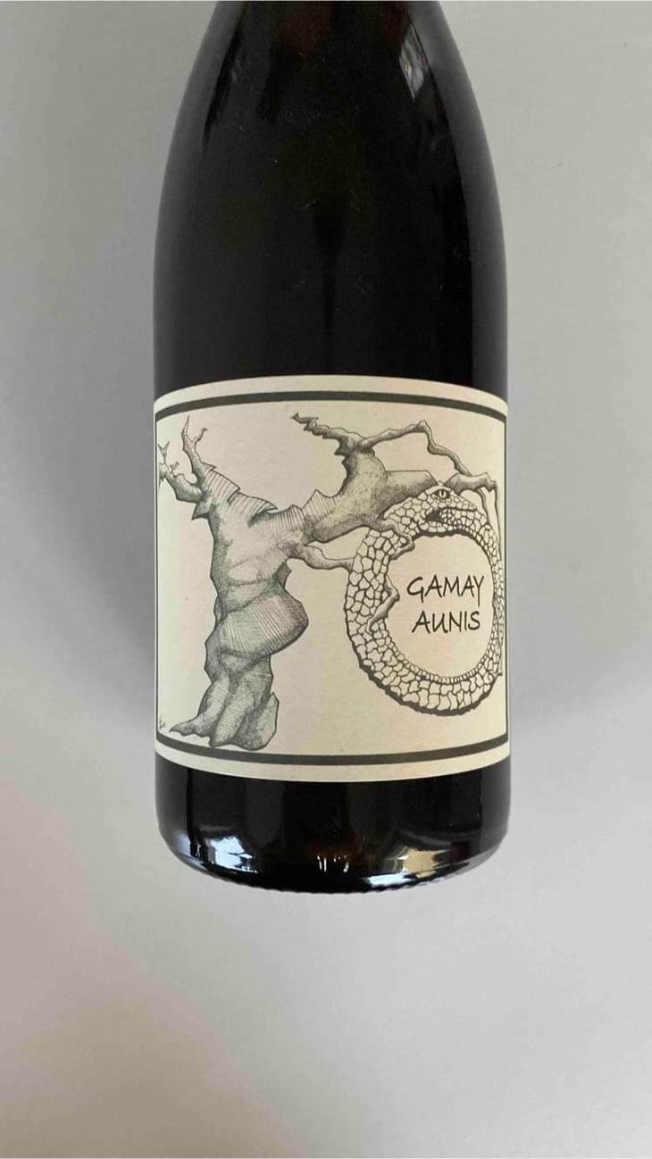 Gamay Aunis - Jean-Christophe Garnier - Jean-Christophe Garnier 