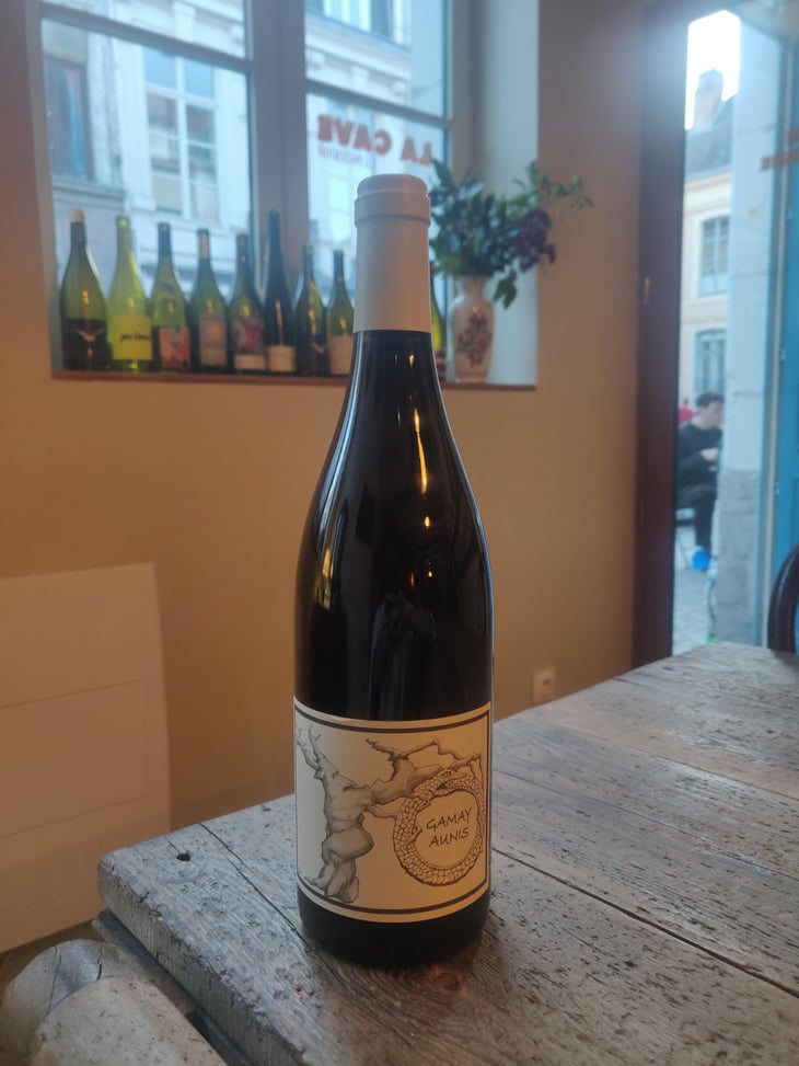 Gamay Aunis - Jean-Christophe Garnier - Jean-Christophe Garnier 
