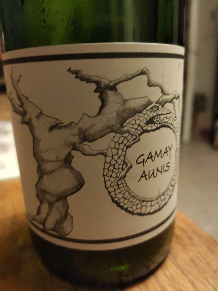 Gamay Aunis - Jean-Christophe Garnier - Jean-Christophe Garnier 