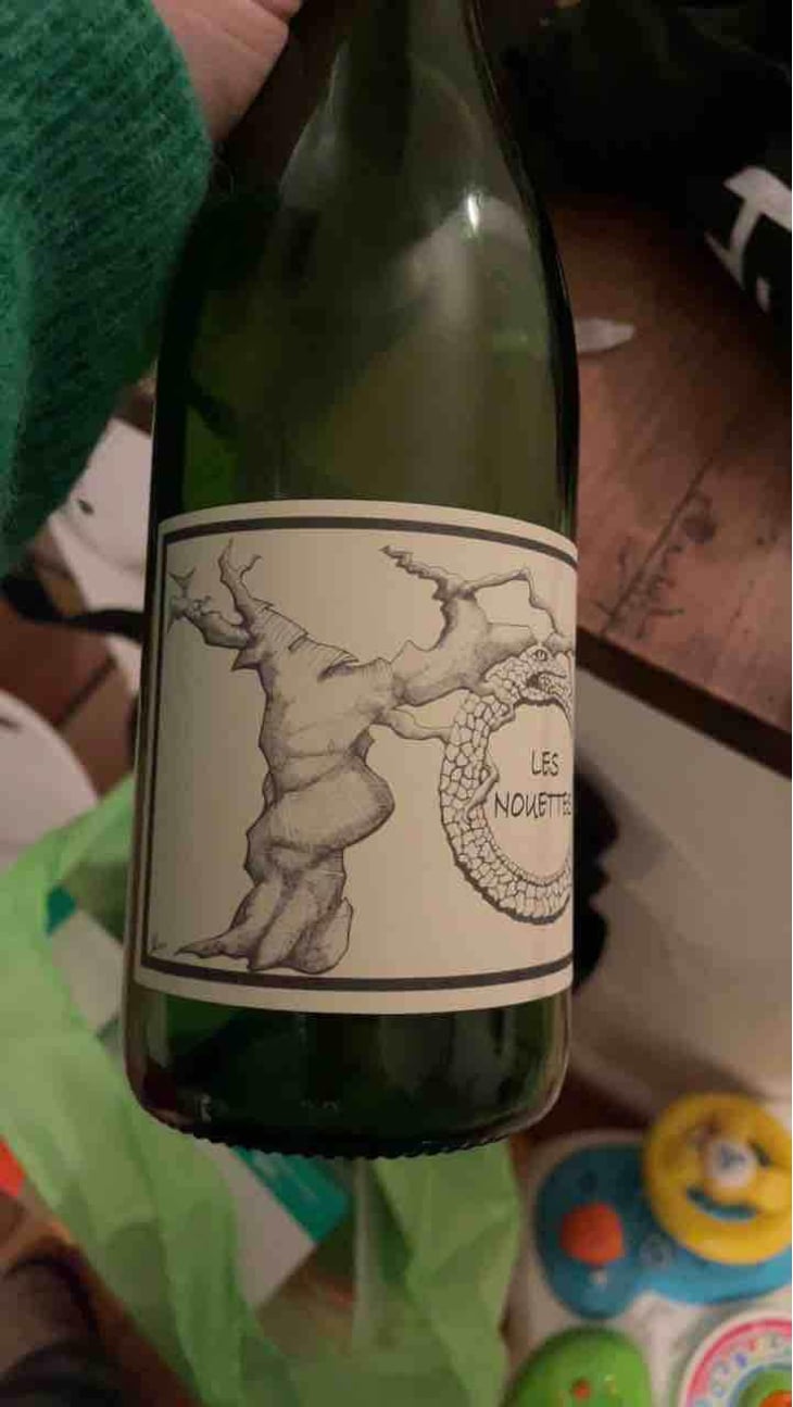 Gamay Aunis - Jean-Christophe Garnier - Jean-Christophe Garnier 